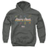 SESAME STREET/MADE IN 1969 - YOUTH PULLOVER HOODIE - CHARCOAL