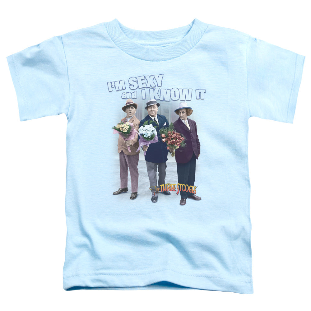 THREE STOOGES/SEXY - S/S TODDLER TEE - LIGHT BLUE