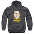 THREE STOOGES/WOOB WOOB WOOB - YOUTH PULLOVER HOODIE - CHARCOAL