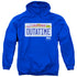 BACK TO THE FUTURE/OUTATIME PLATE - ADULT PULLOVER HOODIE - ROYAL BLUE