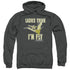 LAND BEFORE TIME/IM FLY - ADULT PULLOVER HOODIE - CHARCOAL