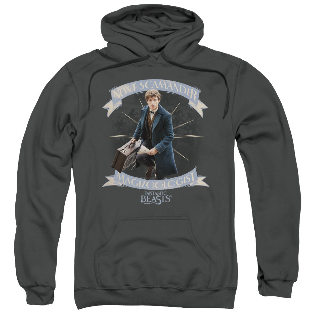 FANTASTIC BEASTS/NEWT SCAMANDER - ADULT PULLOVER HOODIE - CHARCOAL