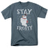 FROSTY THE SNOWMAN/STAY FROSTY - S/S ADULT 18/1 - SLATE