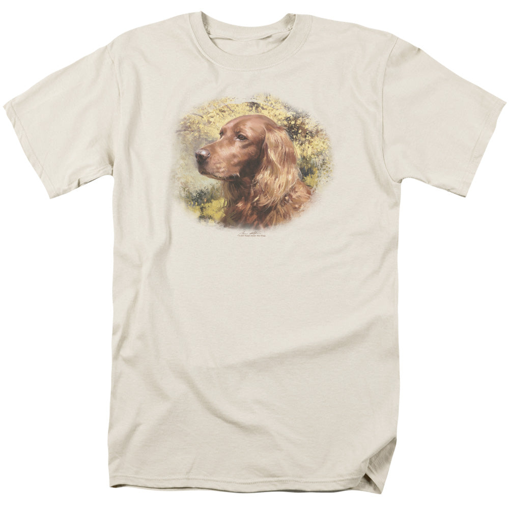 WILDLIFE/IRISH SETTER HEAD - S/S ADULT 18/1 - CREAM