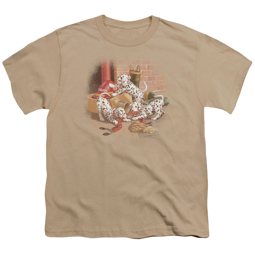 WILDLIFE/WHERES THE FIRE? - S/S YOUTH 18/1 - SAND