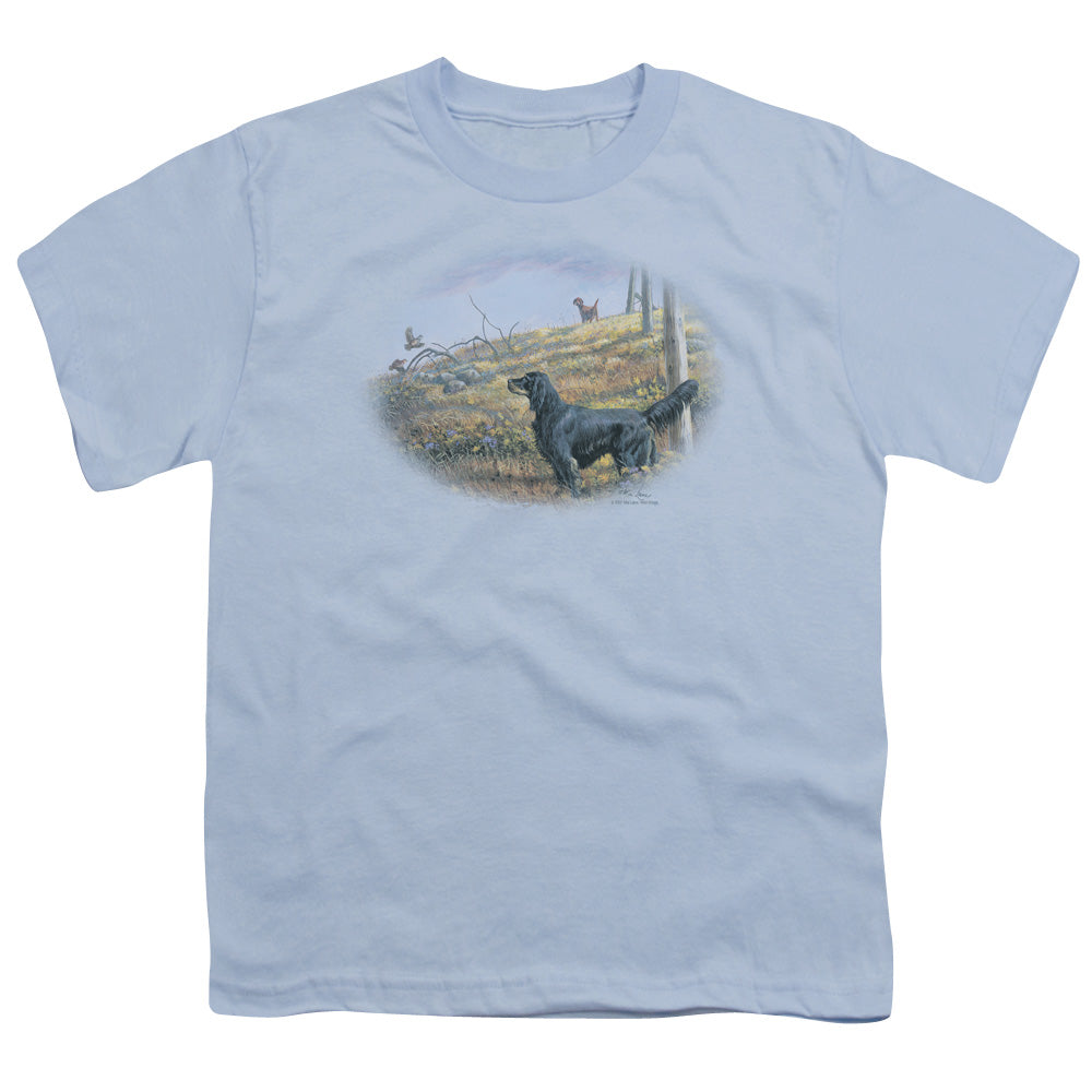 WILDLIFE/LOOKING BACK - S/S YOUTH 18/1 - LIGHT BLUE