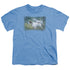 WILDLIFE/ENGLISH POINTER PAIR - S/S YOUTH 18/1 - CAROLINA BLUE