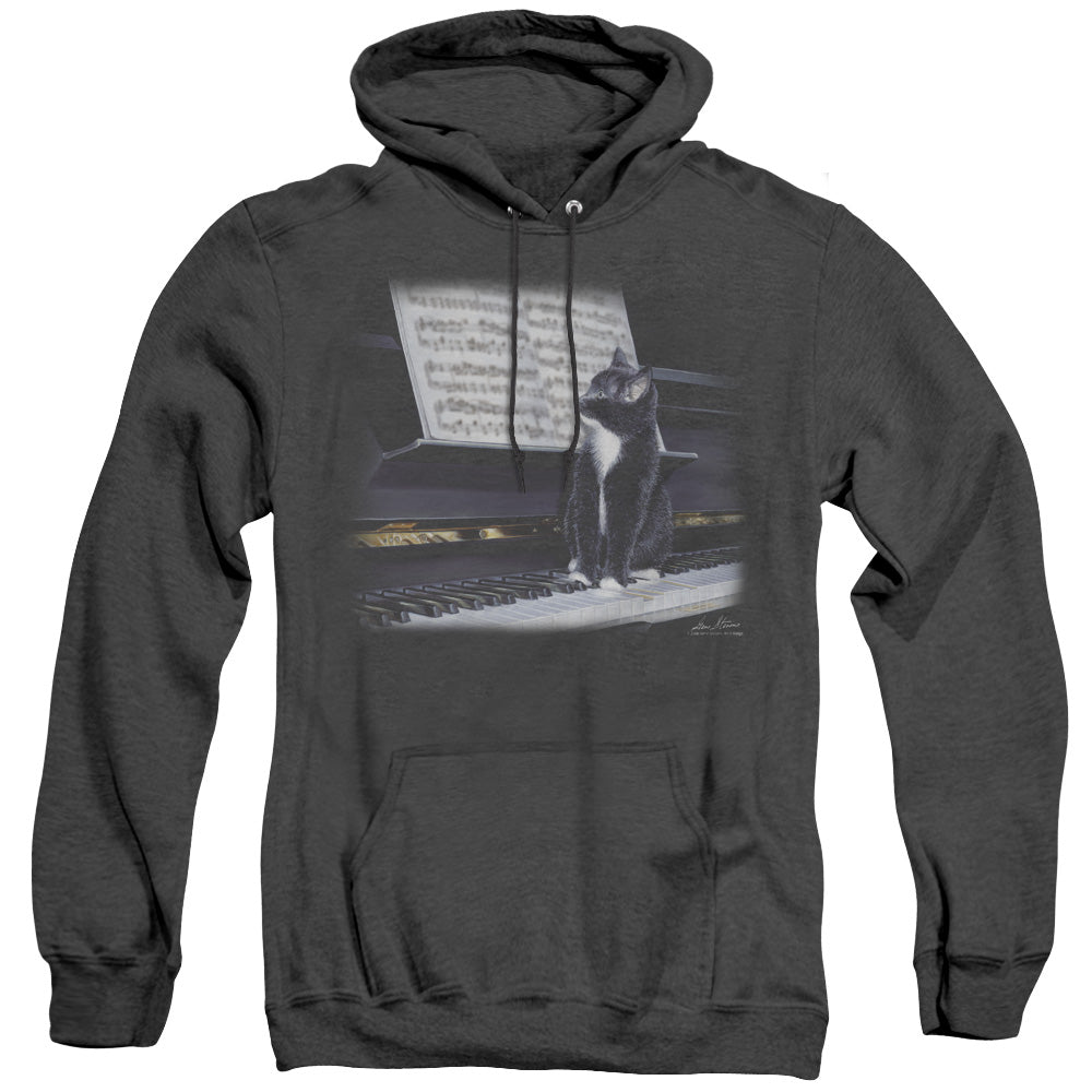 WILDLIFE/KITTEN ON THE KEYS - ADULT HEATHER HOODIE - BLACK