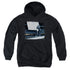 WILDLIFE/KITTEN ON THE KEYS - YOUTH PULLOVER HOODIE - BLACK