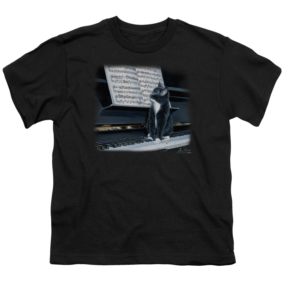 WILDLIFE/KITTEN ON THE KEYS - S/S YOUTH 18/1 - BLACK