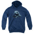 WILDLIFE/POWER&GRACE - YOUTH PULLOVER HOODIE - NAVY