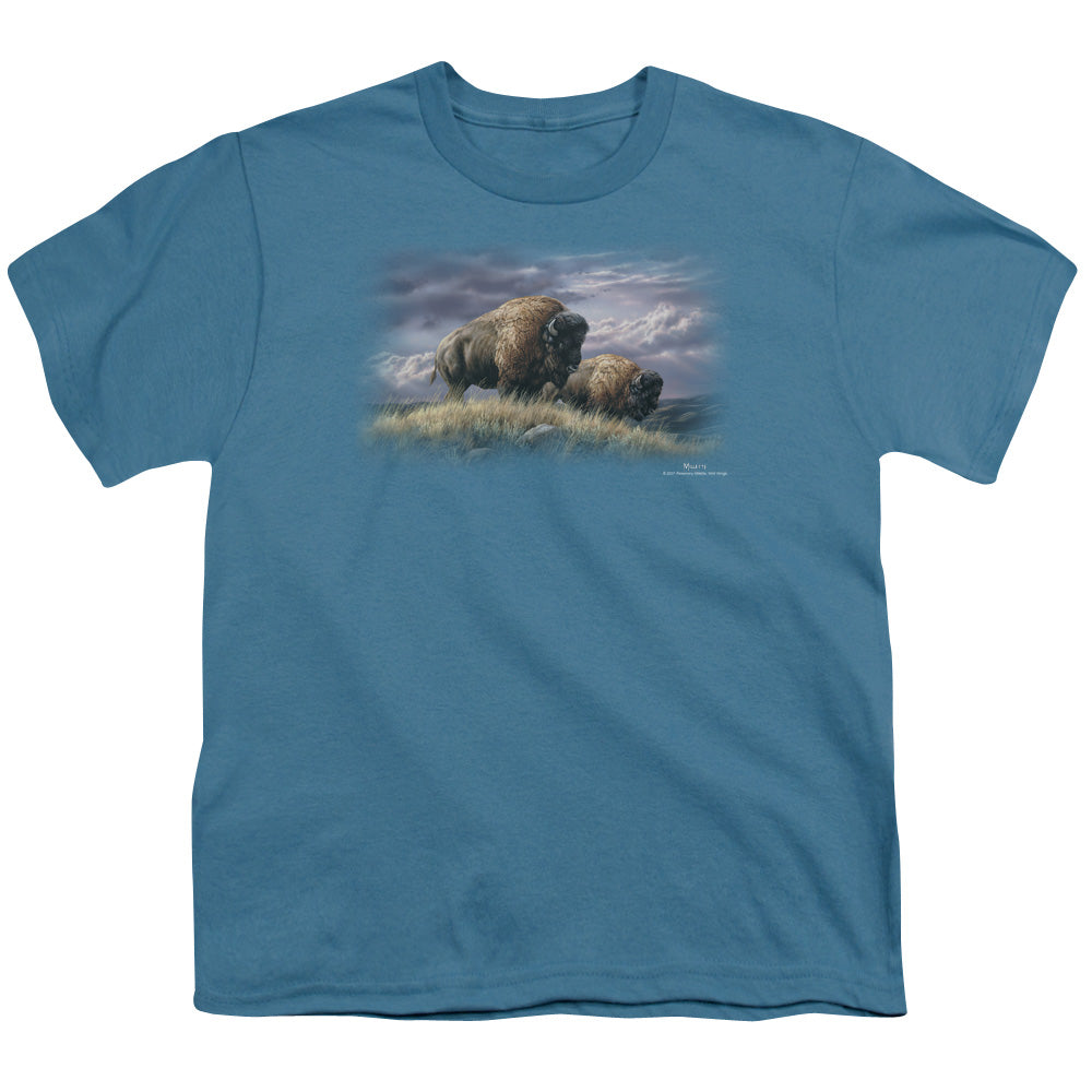 WILDLIFE/NOMADS OF THE PLAINS - S/S YOUTH 18/1 - SLATE