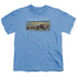 WILDLIFE/THE PASSING HERD - S/S YOUTH 18/1 - CAROLINA BLUE