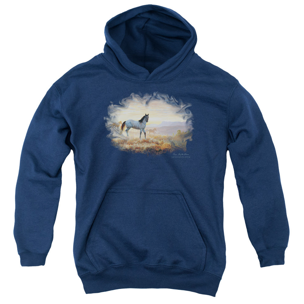 WILDLIFE/DUST AT DAWN - YOUTH PULLOVER HOODIE - NAVY