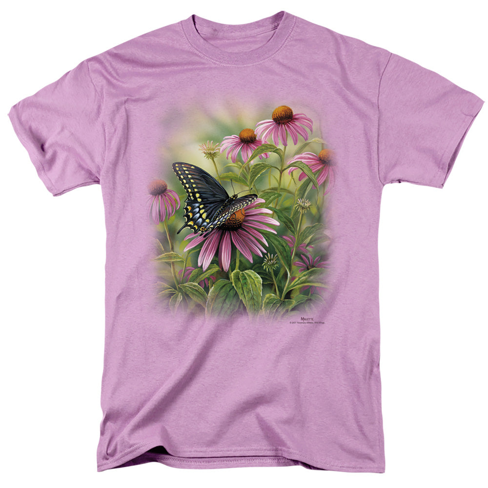WILDLIFE/BLACK SWALLOWTAIL BUTTERFLY - S/S ADULT 18/1 - LAVENDER