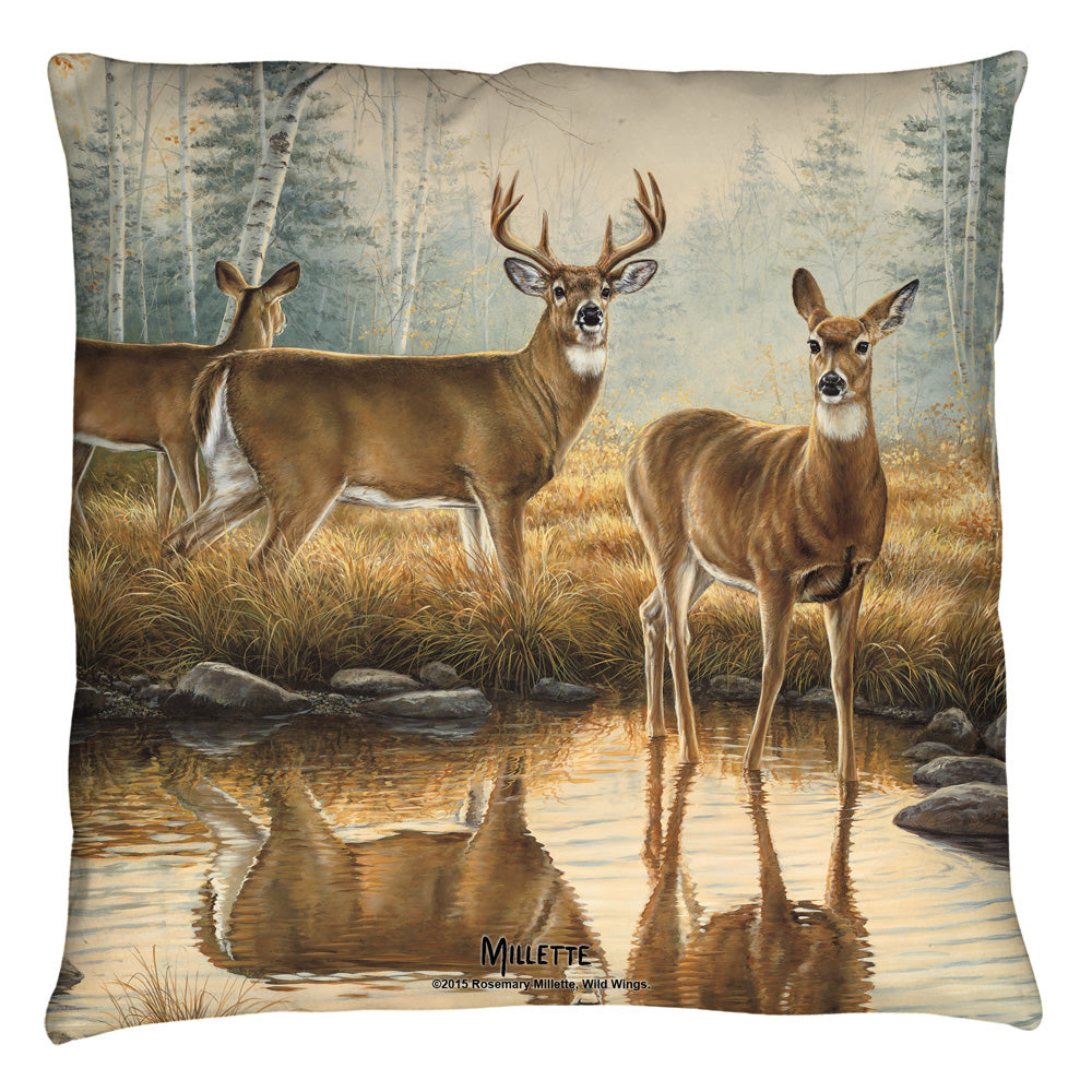 WILD WINGS/AUTUMN REFLECTIONS 2 - THROW PILLOW