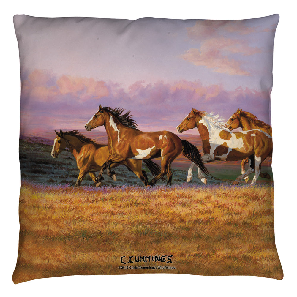 WILD WINGS/SUNSET CRUISE 2 - THROW PILLOW