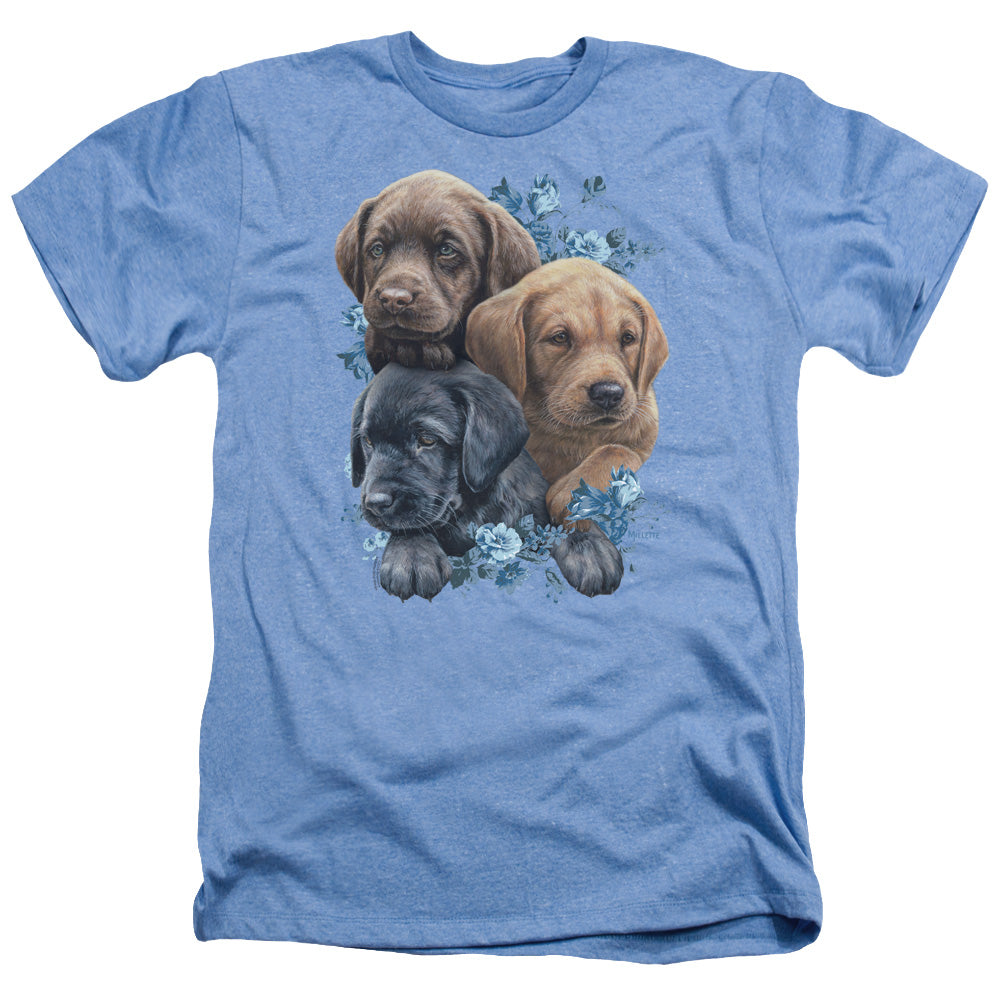 WILD WINGS/PUPPY PILE - ADULT HEATHER - LIGHT BLUE