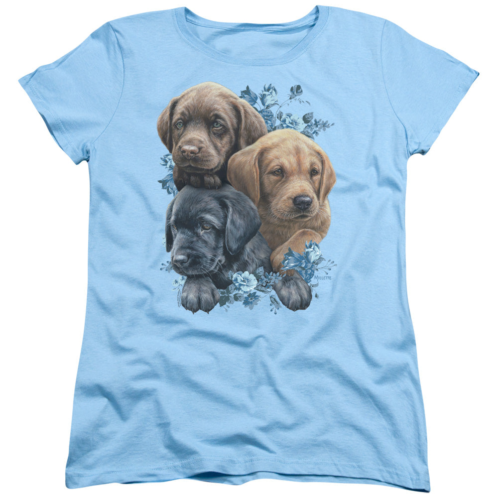 WILD WINGS/PUPPY PILE - S/S WOMENS TEE - LIGHT BLUE