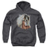 WILD WINGS/PAINTED HORSES - YOUTH PULLOVER HOODIE - CHARCOAL